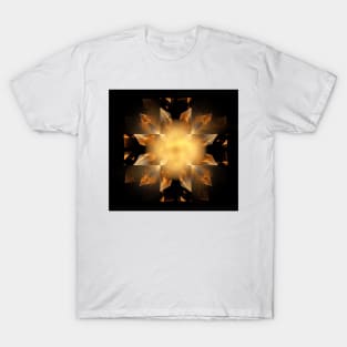 Shapes in Symmetry T-Shirt